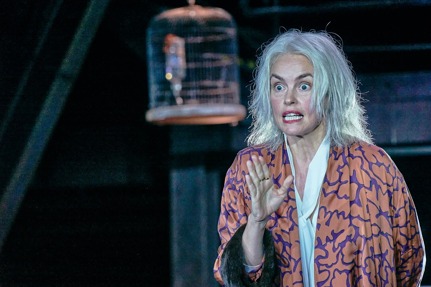 Aufzeichnungen aus dem Kellerloch, Barbara Frey, Nina Hoss